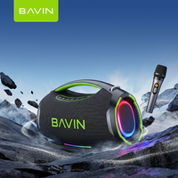 Haut-parleur karaoké portable sans fil BAVIN avec logo personnalisé OEM ODM BM55 250W 12000mAh Batterie BT5.3