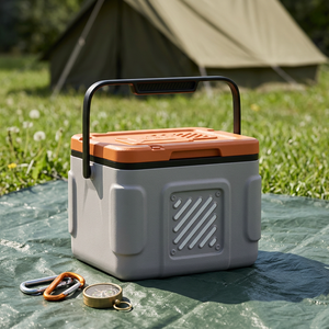 Nevera Portátil Aislada de 5L, PP, Rectangular, con Patrón Geométrico, Estilo Moderno, para Uso en Exteriores y Camping, con Bolsas de Hielo Reutilizables, Termoeléctrica - Product Image 1