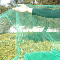 UV-bestendige dadelpalmnetzak van HDPE-mono met trekkoord, bescherming tegen vogels en insecten voor de oogst van dadelpalmen in het Midden-Oosten
