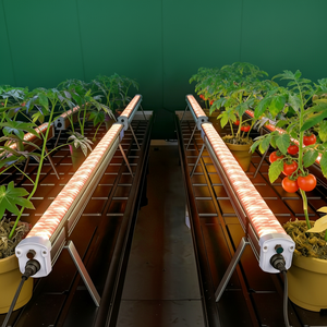 Luces de Cultivo Meijiu de 120w con 2 Canales de Atenuación, Color Rojo Tomate, para Interiluminación Bajo el Techo de Invernaderos en Arabia Saudita - Product Image 1
