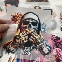 Transferencias DTF Ecológicas Personalizadas para Camisetas, Impresión Directa a Película Resistente a la Decoloración para Diseño de Ropa, Precio de Fábrica