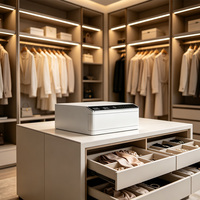 Coffres-forts intelligents en acier pour le rangement sécurisé des bijoux, petit coffre-fort à bijoux avec serrure à empreintes digitales et serrure à code, coffre-fort pour meubles