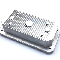 Pièces en alliage d'aluminium moulées sous pression personnalisées, revêtement en poudre, fonderie de métaux à moule permanent, OEM ODM, usage industriel