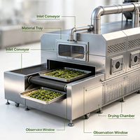 Séchoir tunnel automatique à air chaud haute efficacité pour fruits, légumes et noix, à circulation uniforme et vitesse réglable, de qualité alimentaire