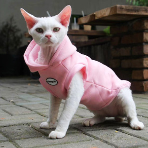 Petit pull <span class=keywords><strong>chat</strong></span> de luxe vêtements d'hiver en velours pour <span class=keywords><strong>Sphinx</strong></span> chats sans poils mignon motif Animal vêtements pour animaux de compagnie pour la saison de printemps - Product Image 6