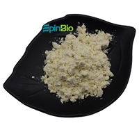 Poudre d'extrait d'ail naturel extrait de l'eau, Allicine 10000ppm, Additif alimentaire, Additif pour aliments pour animaux, Matière première pour la santé