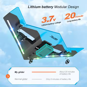 RC Diễn Viên Đóng Thế Máy Bay EPP Xốp Tàu Lượn Máy Bay Tiêm Kích Có Đèn LED Điều Khiển Từ Xa Máy Bay Mô Hình Đồ Chơi Bay Trẻ Em Quà Tặng - Product Image 5