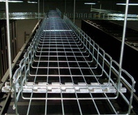 Système de chemin de câbles industriel en treillis métallique HDG en acier inoxydable 304 de haute qualité, léger, durée de vie de 30 ans
