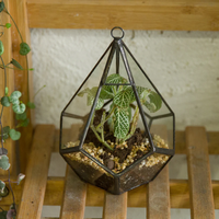 Art-Deco-inspiriertes Glas-Pyramiden-Terrarium als Tischdekoration mit Anpassbarer Farbe & Logo für Heim & Büro