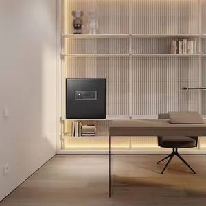 Cassaforte Invisibile Incorporata Personalizzabile in Colore e Dimensioni con Rivestimento Anticorrosione per Scatola di Stoccaggio di Oggetti di Valore di Alta Gamma - Product Image 1