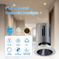 Downlight LED 3 pouces 22W 1980LM 0-10V Dimmable IP54 5CCT 15-60 °   Projecteur encastré commercial à angle de faisceau étroit et haute efficacité >90LM/W