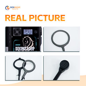 Peralatan <span class=keywords><strong>Laser</strong></span> perangkat Terapi magnetik Pemf dokter hewan untuk membersihkan sel mati dan regenerasi dari tisu - Product Image 2