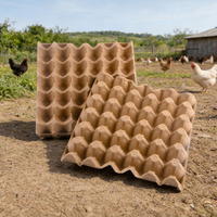 Barquettes à œufs en papier biodégradables et écologiques jetables pour 30 œufs, cartons en carton pour volailles, boîtes à œufs en gros