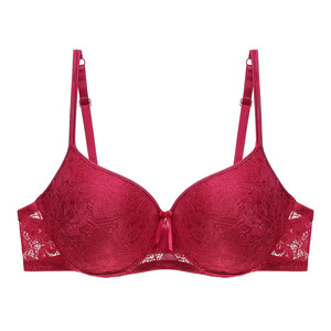 Kavn commercio all'ingrosso di alta qualità più il formato del fiore ricamato grande reggiseno per le donne grasse - Product Image 1