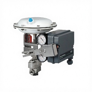 Control Neumático 3661 Electro-neumático de Acción Simple para Medios Gaseosos a Alta Temperatura, OEM Personalizable, Disponible en Stock, Proveedor 3661 Pneuma - Product Image 1