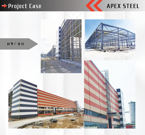 工业多层碳钢结构建筑厂房仓库建设项目立体车库顶点 - Product Image 4