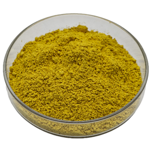 Grosir bubuk ekstrak Sophora Japonica murni 98% Quercetin - Product Image 4