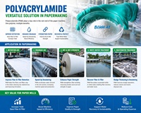 Polyacrylamide Anionique Industriel Soluble dans l'Eau (PAM) – Adsorbant pour la Suspension de la Pâte à Papier et les Performances de Drainage
