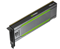 Graphic Card 16 GB GDDR6 Enterprise GPU NV TESLA T4