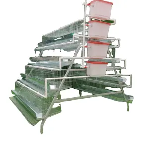 Chinese Factory A Type Chickens Egg Layer Battery Chicken Cage Hens House For poultry farm