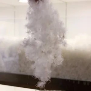 Plumes de canard et d'oie blanc pur, lavable à la Machine, bas prix, bas prix - Product Image 1