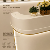 Comptoir de réception minimaliste incurvé avec éclairage LED pour salon de beauté de luxe, spa, boutique, magasin ou bureau