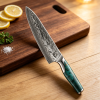 67-laags Damascus VG10 staal koksmes Santoku-stijl groentenmes huishoudelijk vleesmes professioneel keukenmes