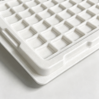 Palette en plastique antistatique personnalisable en PP/PET/ABS/PS pour emballage, épaisseur et forme sur mesure, protection de l'environnement