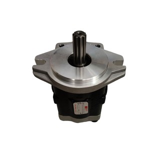 Pompe à engrenages pour chariot élévateur Heli A71Y7-10601, pompe hydraulique 250 bars pour chariot élévateur diesel CPD45, 1 étage YY0002000 - Product Image 1