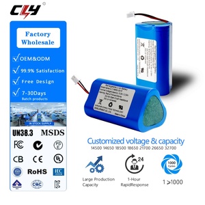 Produsen Baterai Lithium 14 Tahun Pengalaman, Paket Baterai Lithium Ion 7.4V 12V 24V 48V 18650 untuk Power Bank dan Skuter Listrik - Product Image 1