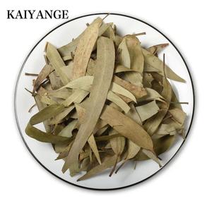 KAIYANGE VENTE EN GROS en vrac OEM Thé vert <span class=keywords><strong>d</strong></span>'<span class=keywords><strong>eucalyptus</strong></span> séché chinois <span class=keywords><strong>Feuilles</strong></span> mobiles Boîtes <span class=keywords><strong>de</strong></span> sachets à base <span class=keywords><strong>de</strong></span> plantes Tasses Traitement brut naturel - Product Image 2