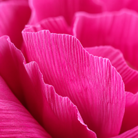 Grande fleur en papier faite à la main personnalisable avec plusieurs couleurs pour la vitrine de magasin et la décoration de fête, fleur en papier artificielle géante