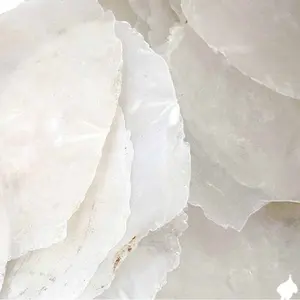 Natural Clean white Capiz Shell For DIY Handmade Shell Crafts