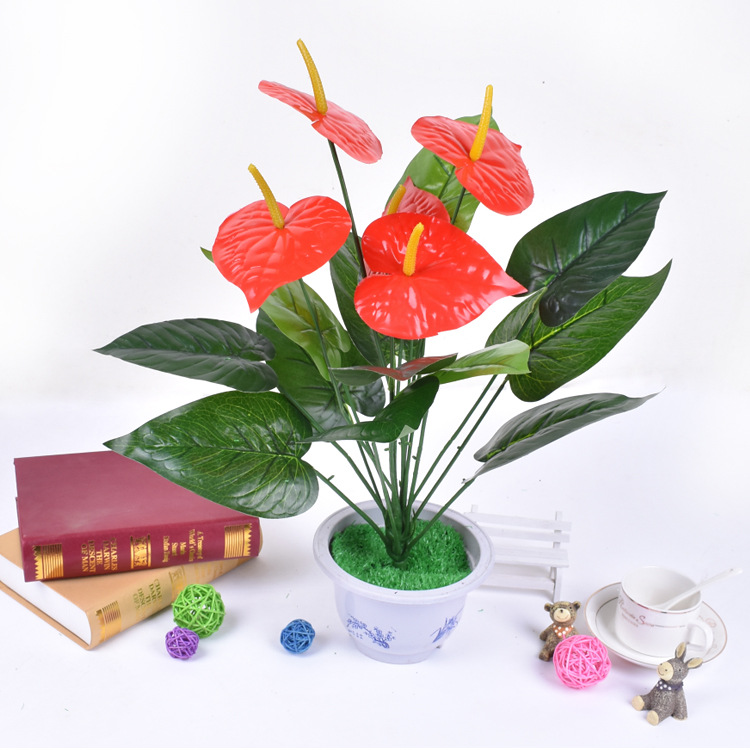 Anthurium unique en pot plastique