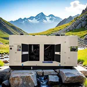 サイレントディーゼル発電機<span class=keywords><strong>65kW</strong></span> 95kW 125kW 155kW手動転送スイッチ付き工場使用 - Product Image 2