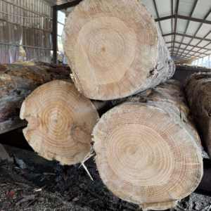 Wholesale White <b>Primed</b> Radiata Pine Wall Mould Decor S3S Trim Edge Glued Board with Groove - Product Image 5