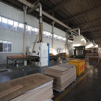Dalles de sol modulaires emboîtables en contreplaqué de bouleau écologique E0, aspect tissé martelé, pour protection du gazon, pour tentes modulaires portables de villas et événements