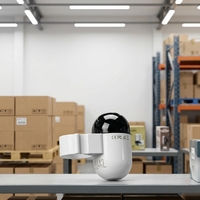 Traceur GPS ultra-léger pour pigeons de course, avec 30 jours d'autonomie et un boîtier IP67, pour les amateurs de pigeonnage