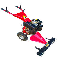 Tondeuse à gazon à essence robuste, coupe-herbe professionnel, machine de coupe pour jardin, fabricant direct d'usine, meilleur prix