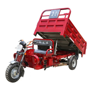 Tricycle cargo électrique à trois roues avec capacité de 6 passagers et une charge utile de 400 kg - Product Image 3