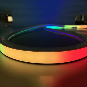 Adresseerbare Led Strip Pixel Verwisselbare Kleur Led Neon Strip 50M 100M Strip Licht 24V Rgb Rgbw Multicolor Pvc Siliconen