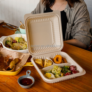 100% Biodegradable Cornstarch Takeaway Packaging Lunch Box ToGo 3 Compartment Plastic Food Containers