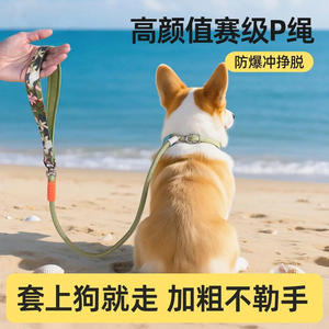Vente en gros et dropshipping : Laisse d'entraînement réglable en P, anti-traction et anti-évasion, pour Golden Retriever et Samoyed - Product Image 4