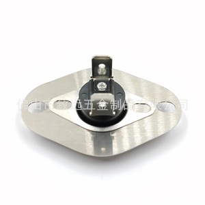 Primary Limit Switch 20162904 Metal 5x5x3cm Replacement Parts For <b>Temperature</b> <b>Control</b> - Product Image 3