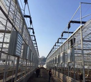 Duy Nhất Hoặc Biến Tốc Độ Ổ Đĩa Trực Tiếp Sơn Gian Hàng Vuông Treo Tường Màn Trập Xả <span class=keywords><strong>Fan</strong></span> Giá - Product Image 6