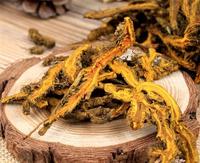 Tranches de Coptis Chinensis Huang Lian – Racine de plante médicinale chinoise de haute qualité – Herbes chinoises et produits alimentaires santé pour la régime alimentaire et les épices