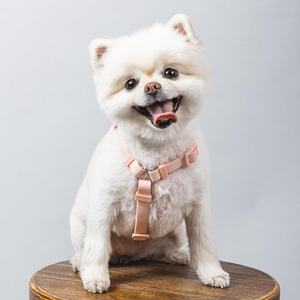 Sunraymascota 제조업체 인기 판매 방수 PVC 강아지 하네스 쉬운 산책용 리드줄 하네스 세트 - Product Image 5