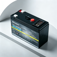 Batterie solaire rechargeable LiFePO4 12V avec BMS intégré, cycle profond, 153,6 Wh, 6000 cycles, camping