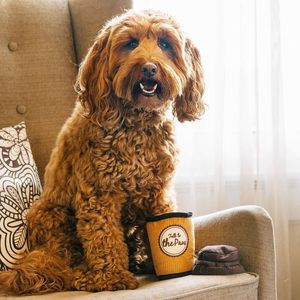Jouets en peluche pour animaux de compagnie, design de tasse à café personnalisé par le fabricant, nouveaux jouets couineurs pour chiens - Product Image 6