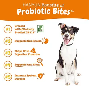 Hanyun-Suplemento de salud para perros, suplemento masticable probiótico personalizado de Etiqueta Privada, para el cuidado de la salud de las mascotas y los complementos OEM